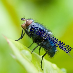长篇小说推荐