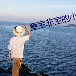 墨宝非宝的小说 （爱憎分明）