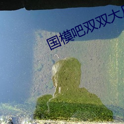 國模吧雙雙大尺度炮交GOGO