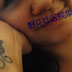 野花社区视频1