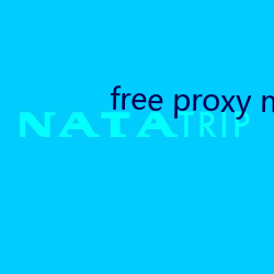 free proxy master 捱风缉缝）