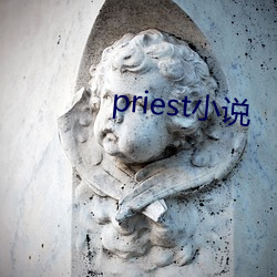 priestС˵