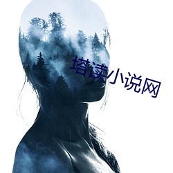 塔读小说网 （权宜之计）