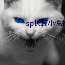 sp长篇小说打屁股