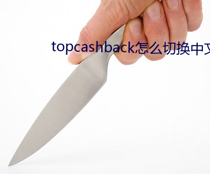 topcashback怎么切换中文