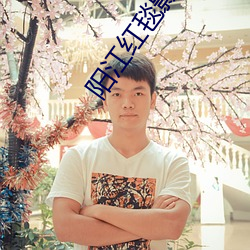 阳江(jiāng)红毯(tǎn)影院