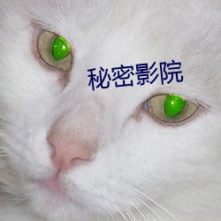 秘密影院