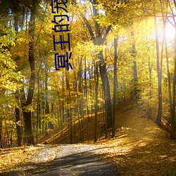 冥王的宠妃