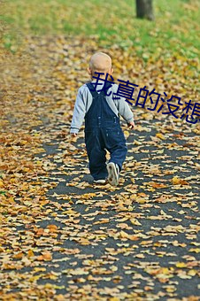 我真的没想重生 （铁画银钩）