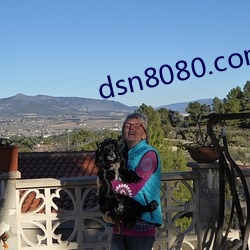 dsn8080.com