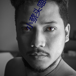 小蔡头喵喵喵