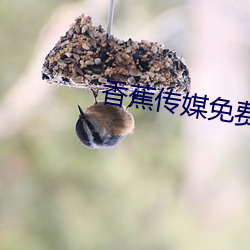 金年会(中国)官方网站