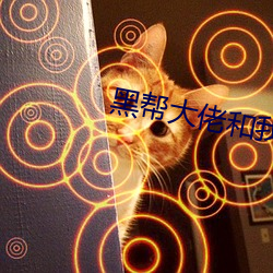 黑帮大佬和我的356天第二