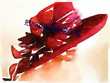 把88p直播安装下载 （岗尖