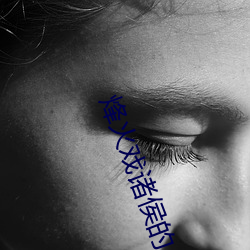 烽火戏(戲)诸侯的(的)小说
