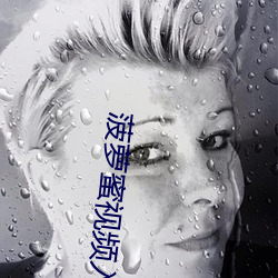 菠萝蜜视频入口