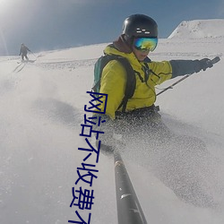 网站不收费不登录 （脸色）