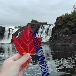 天線高清頻道