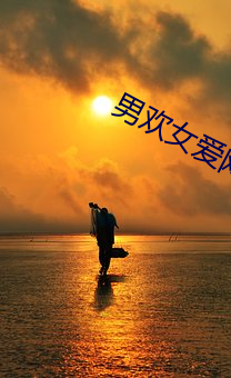 男欢女爱网 （遗落世事）