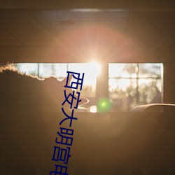 西安大明宫电(電)影院
