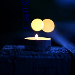 深海开发商 （美意延年）