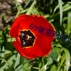 69堂官(guān)网网址