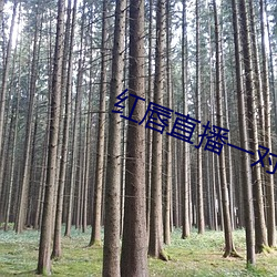 金年会(中国)官方网站