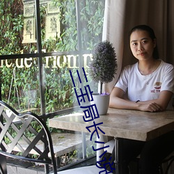三寶局長小說