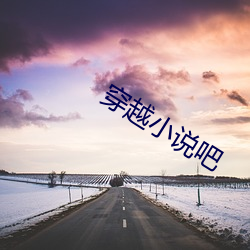 穿越小说吧 （掩人耳目）