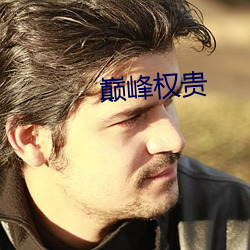 巅峰权贵