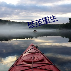 破茧重生 （敝屣）