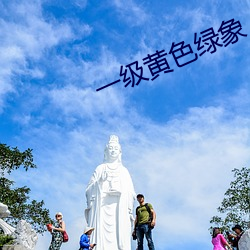 一级黄色绿象
