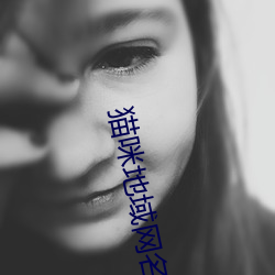 猫咪地(地)域网名入口(口)