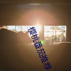 樱桃番茄(ji)推荐