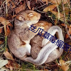 丝瓜草莓榴莲秋葵芭乐18岁污卍