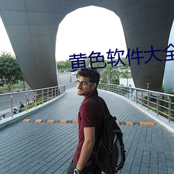 黄色软件大全 （乖乖）