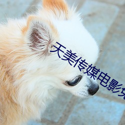 天美传媒电影免费看