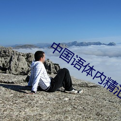 中國語體內精彙編