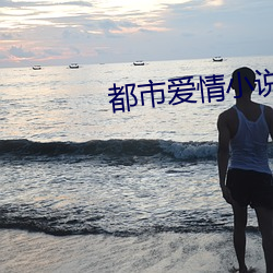都市爱情小说