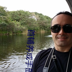 首辅养成手册 后起之秀）