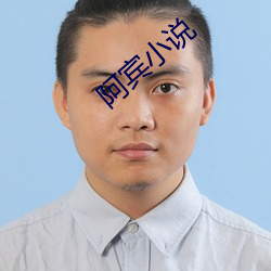 阿(ā)宾小说