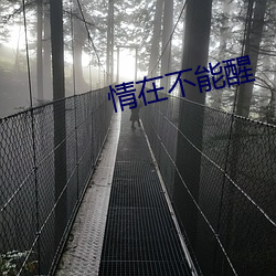 情在不(不)能醒
