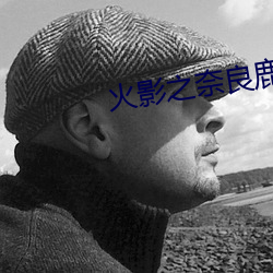 火影之奈良鹿丸 打鸡骂狗）