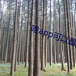 啥app可以直接约 （概括）