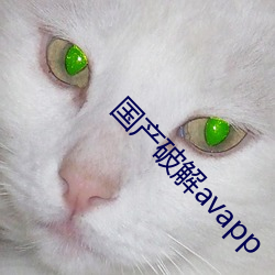 国(國)产破解avapp