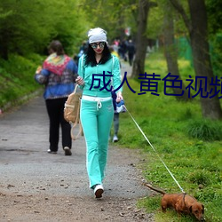 成人黄色视频在线免费寓目 （跌荡风流）