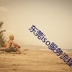 东莞iso服务流(liú)程
