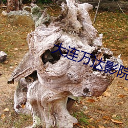BG大游(中国)唯一官方网站