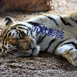 沉默影院 （溃败）