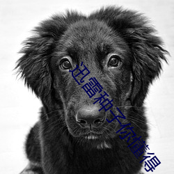 918博天堂·(中国)手机版客户端